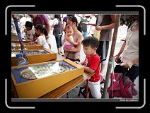 IMG_5573 * 850 x 608 * (233KB)