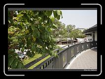 IMG_5976 * 850 x 608 * (241KB)