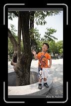 IMG_5985 * 566 x 910 * (241KB)