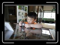 IMG_6004 * 850 x 608 * (235KB)