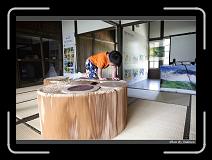 IMG_6038 * 850 x 608 * (237KB)