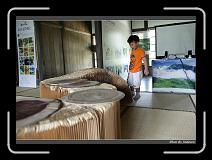 IMG_6040 * 850 x 608 * (239KB)