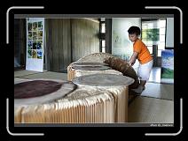 IMG_6042 * 850 x 608 * (231KB)