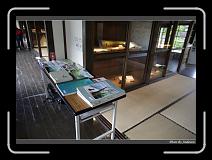 IMG_6051 * 850 x 608 * (245KB)