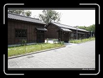 IMG_6076 * 850 x 608 * (243KB)
