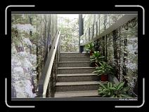IMG_6100 * 850 x 608 * (244KB)