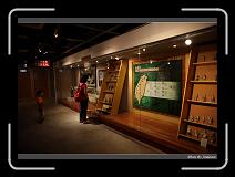 IMG_6136 * 850 x 608 * (222KB)