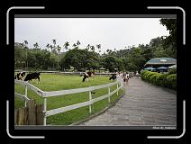 IMG_6199 * 850 x 608 * (237KB)