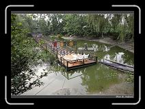 IMG_6203 * 850 x 608 * (246KB)