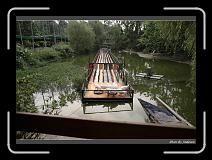 IMG_6206 * 850 x 608 * (248KB)