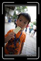 IMG_6226 * 566 x 910 * (223KB)