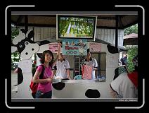 IMG_6227 * 850 x 608 * (233KB)