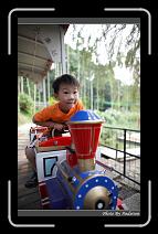 IMG_6232 * 566 x 910 * (243KB)