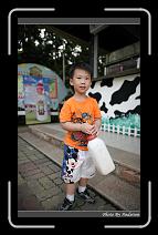 IMG_6242 * 566 x 910 * (245KB)