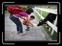 IMG_6247 * 850 x 608 * (235KB)
