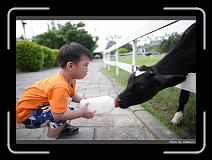 IMG_6251 * 850 x 608 * (224KB)