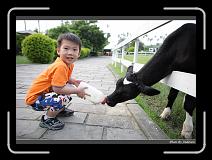 IMG_6257 * 850 x 608 * (239KB)