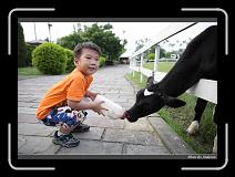 IMG_6258 * 850 x 608 * (231KB)