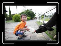 IMG_6259 * 850 x 608 * (224KB)