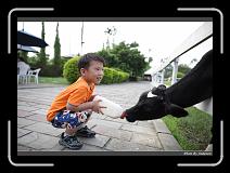 IMG_6260 * 850 x 608 * (222KB)