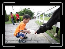 IMG_6261 * 850 x 608 * (231KB)