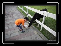 IMG_6265 * 850 x 608 * (235KB)