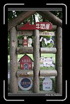 IMG_6270 * 566 x 910 * (241KB)