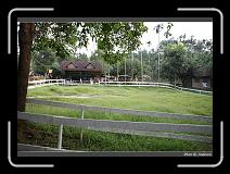 IMG_6272 * 850 x 608 * (243KB)