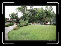 IMG_6273 * 850 x 608 * (245KB)
