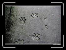 IMG_6285 * 850 x 608 * (238KB)