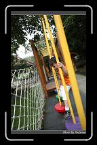 IMG_6294 * 566 x 910 * (244KB)