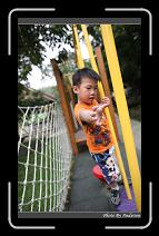 IMG_6295 * 566 x 910 * (232KB)