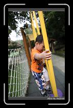 IMG_6296 * 566 x 910 * (217KB)