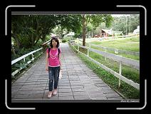 IMG_6310 * 850 x 608 * (245KB)