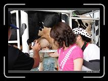 IMG_6327 * 850 x 608 * (248KB)