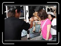 IMG_6328 * 850 x 608 * (222KB)