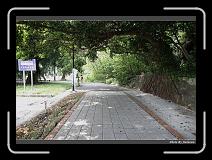 IMG_6353 * 900 x 644 * (294KB)