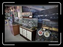 IMG_6377 * 900 x 644 * (270KB)
