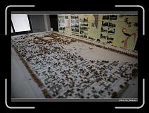 IMG_6380 * 900 x 644 * (267KB)