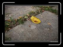 IMG_6404 * 900 x 644 * (295KB)