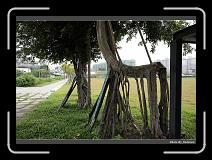 IMG_6411 * 900 x 644 * (290KB)