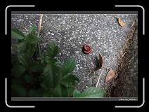 IMG_6413 * 900 x 644 * (297KB)
