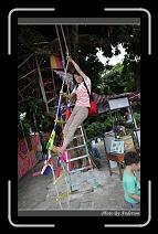 IMG_6462 * 600 x 966 * (294KB)