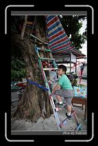 IMG_6471 * 600 x 966 * (282KB)