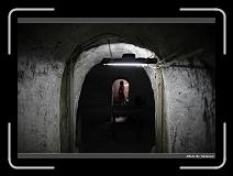 IMG_6490 * 900 x 644 * (254KB)