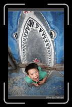 IMG_6565 * 600 x 966 * (286KB)