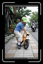 IMG_6631 * 600 x 966 * (283KB)