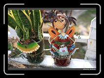 IMG_6685 * 900 x 644 * (271KB)