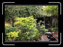 IMG_6732 * 900 x 644 * (297KB)