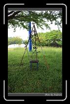 IMG_6734 * 600 x 966 * (299KB)